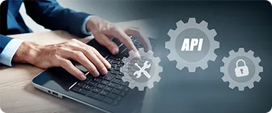 API Support Maintenance