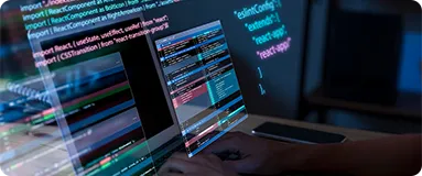 Web API Development
